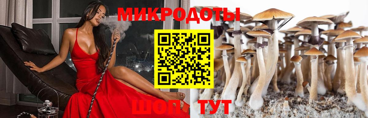 Псилоцибиновые грибы Psilocybe Россошь