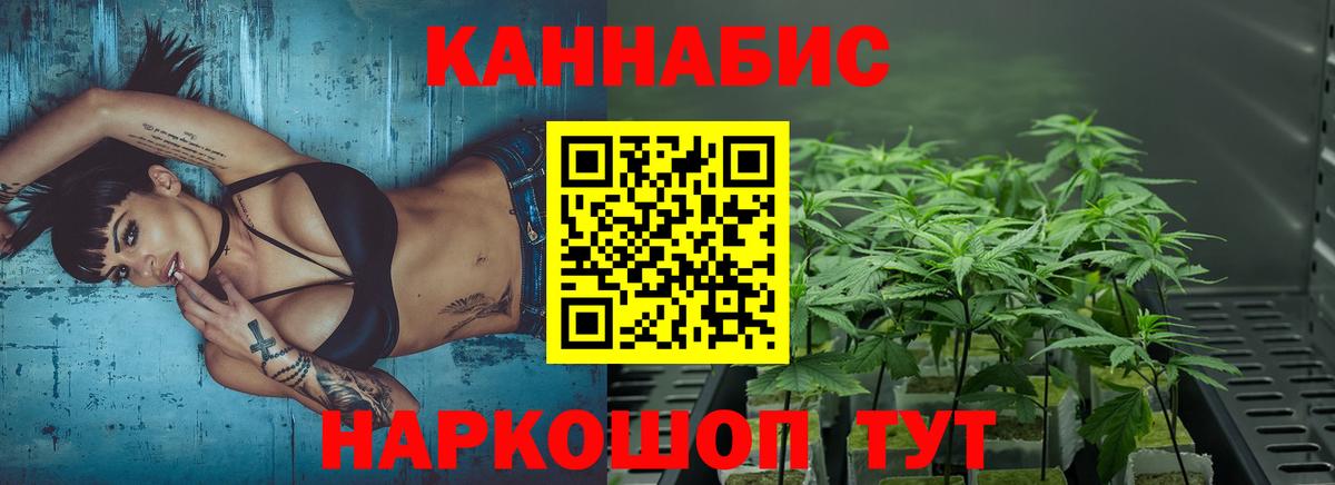 Конопля конопля Россошь
